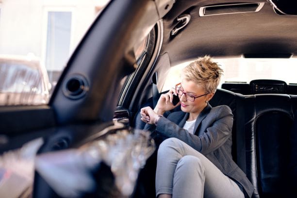 Professional Executive Travel